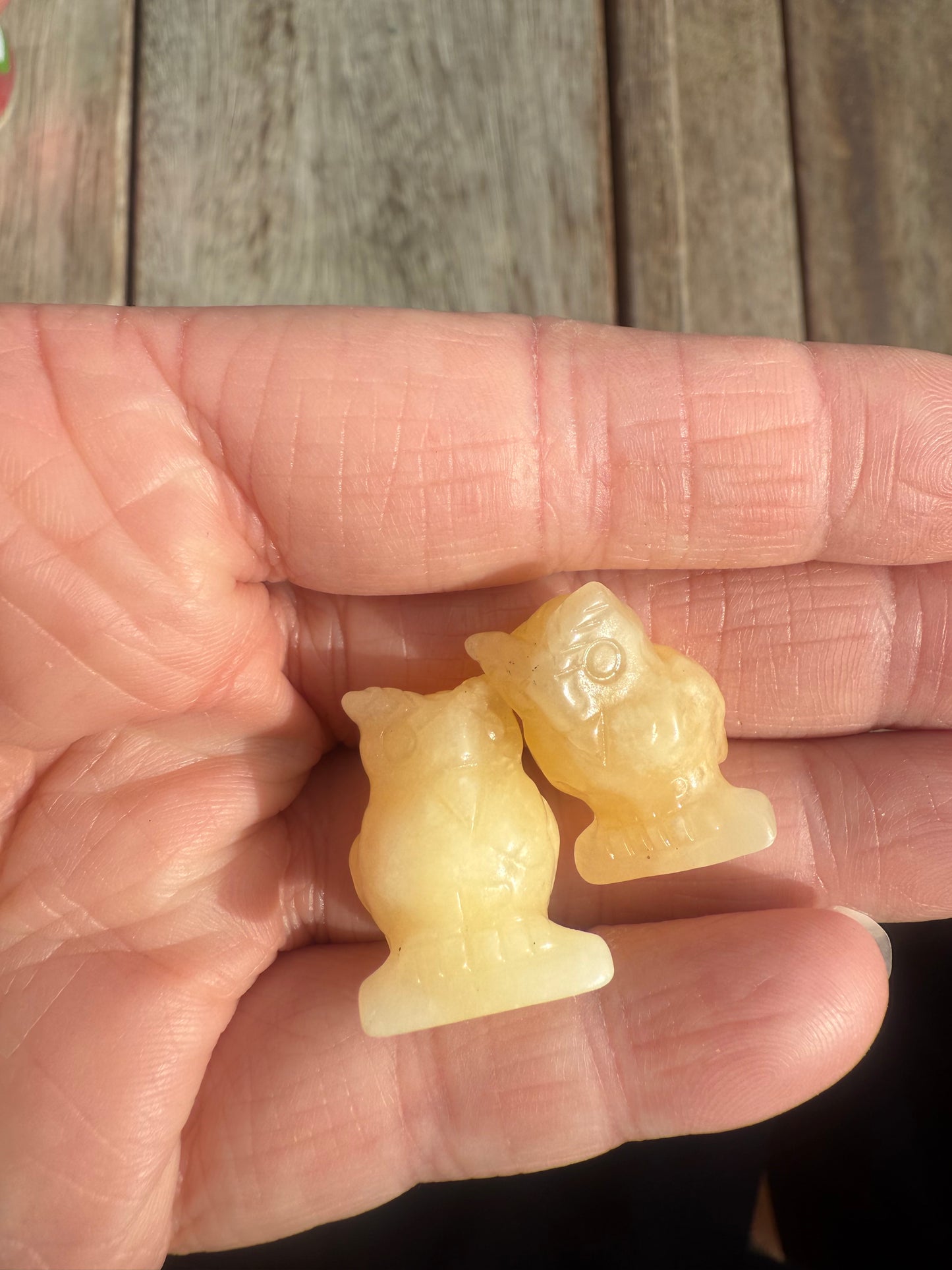 Mini Owl Carving