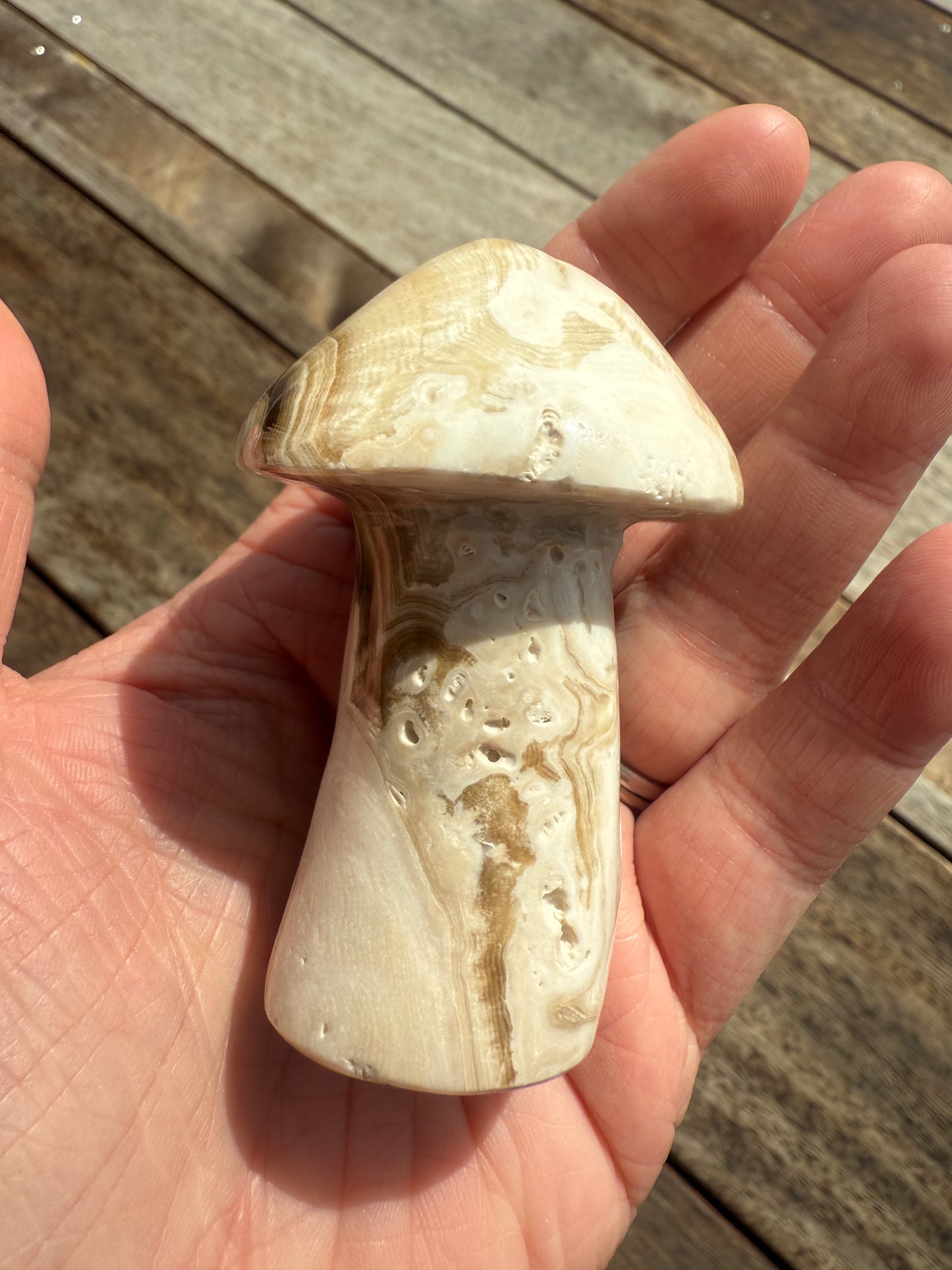 Chocolate Calcite Mushroom