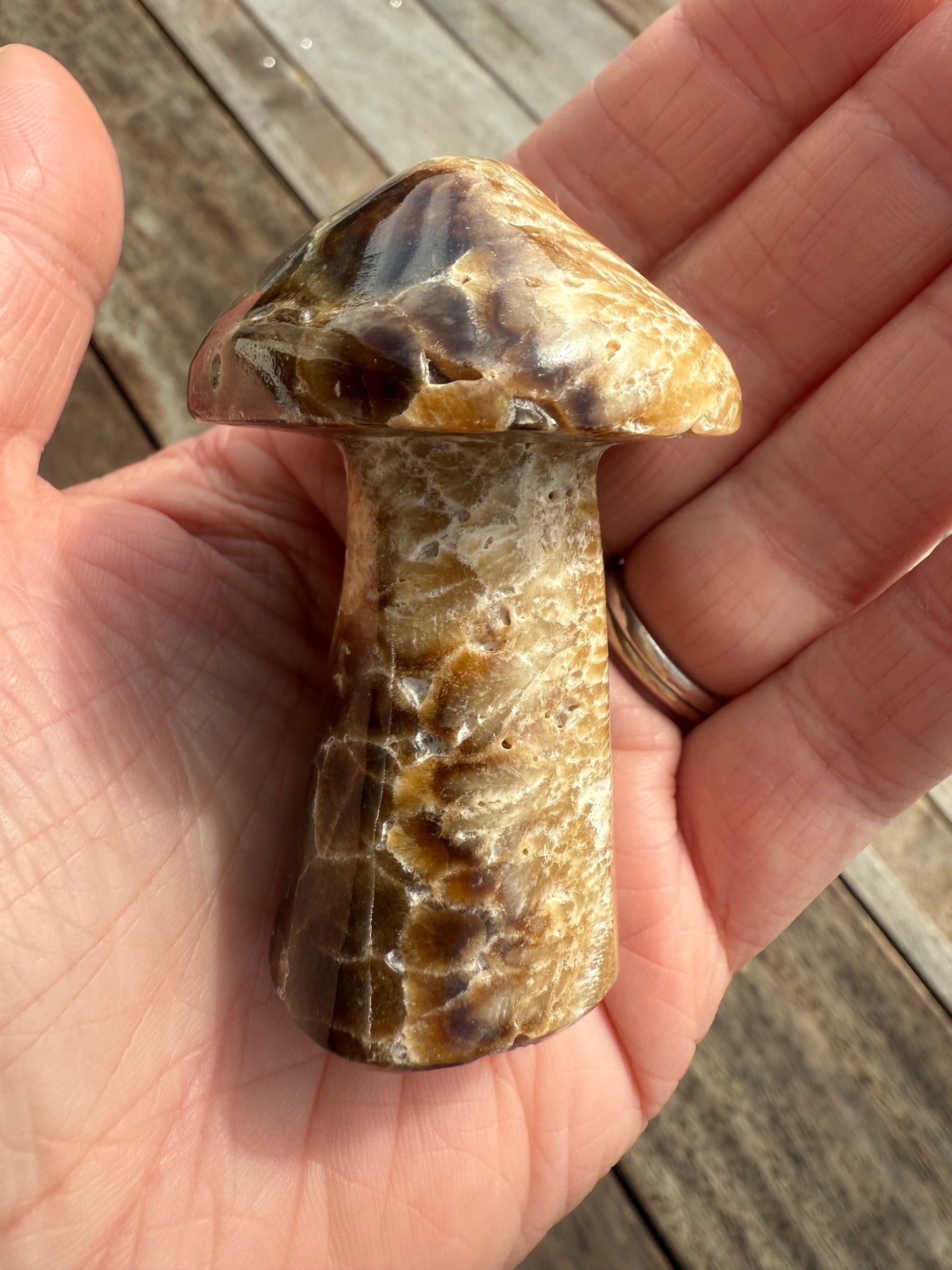 Chocolate Calcite Mushroom