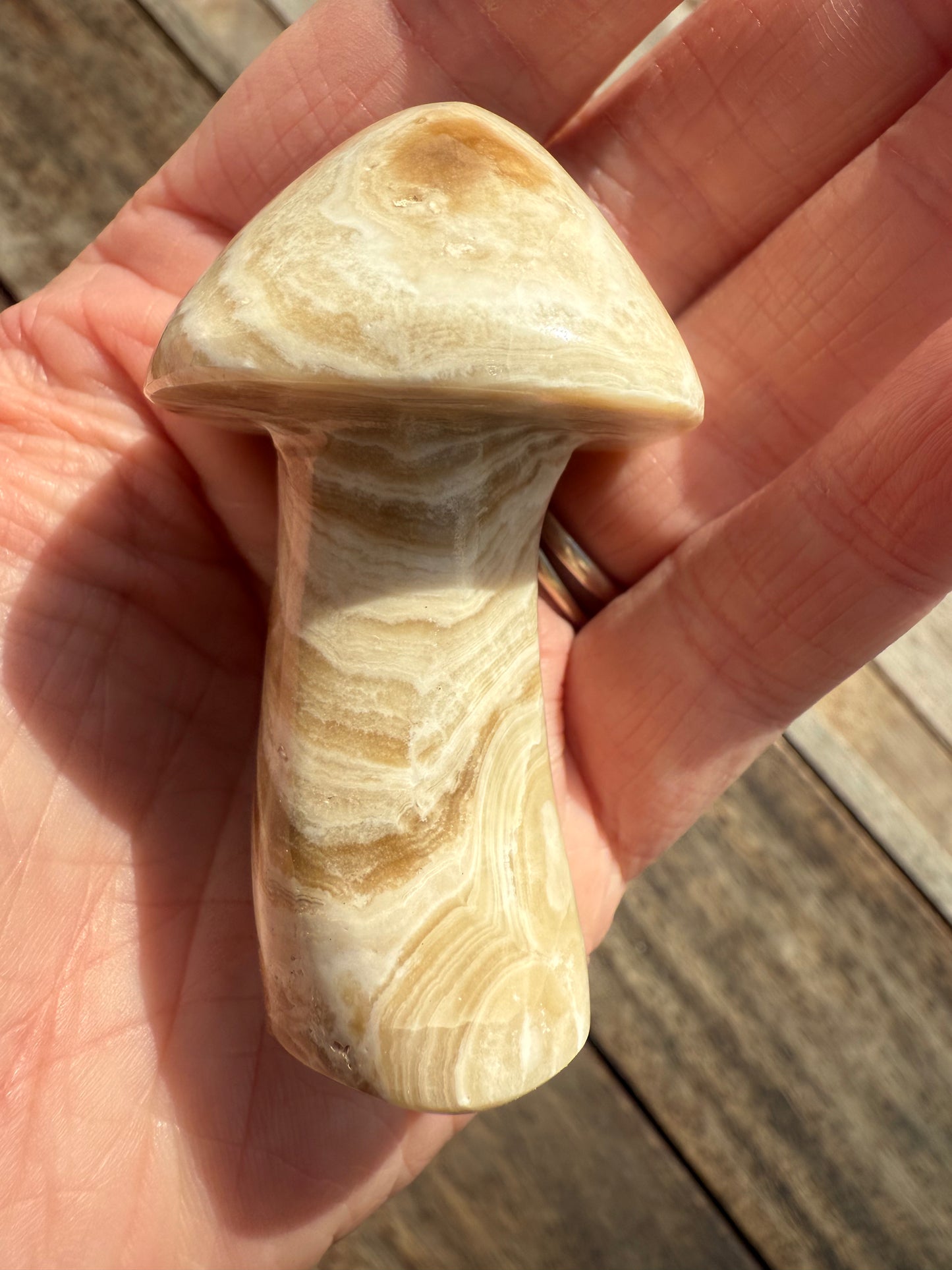 Chocolate Calcite Mushroom
