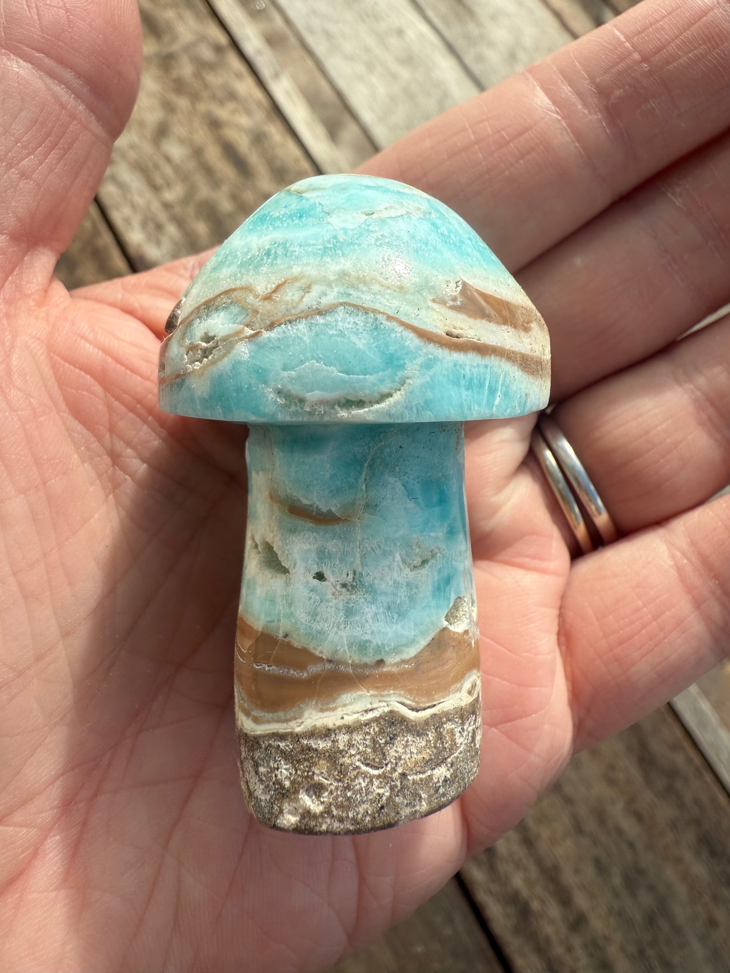 Caribbean Calcite Mushroom