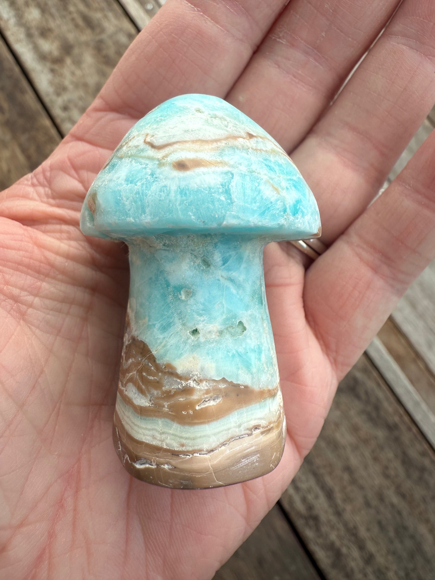 Caribbean Calcite Mushroom