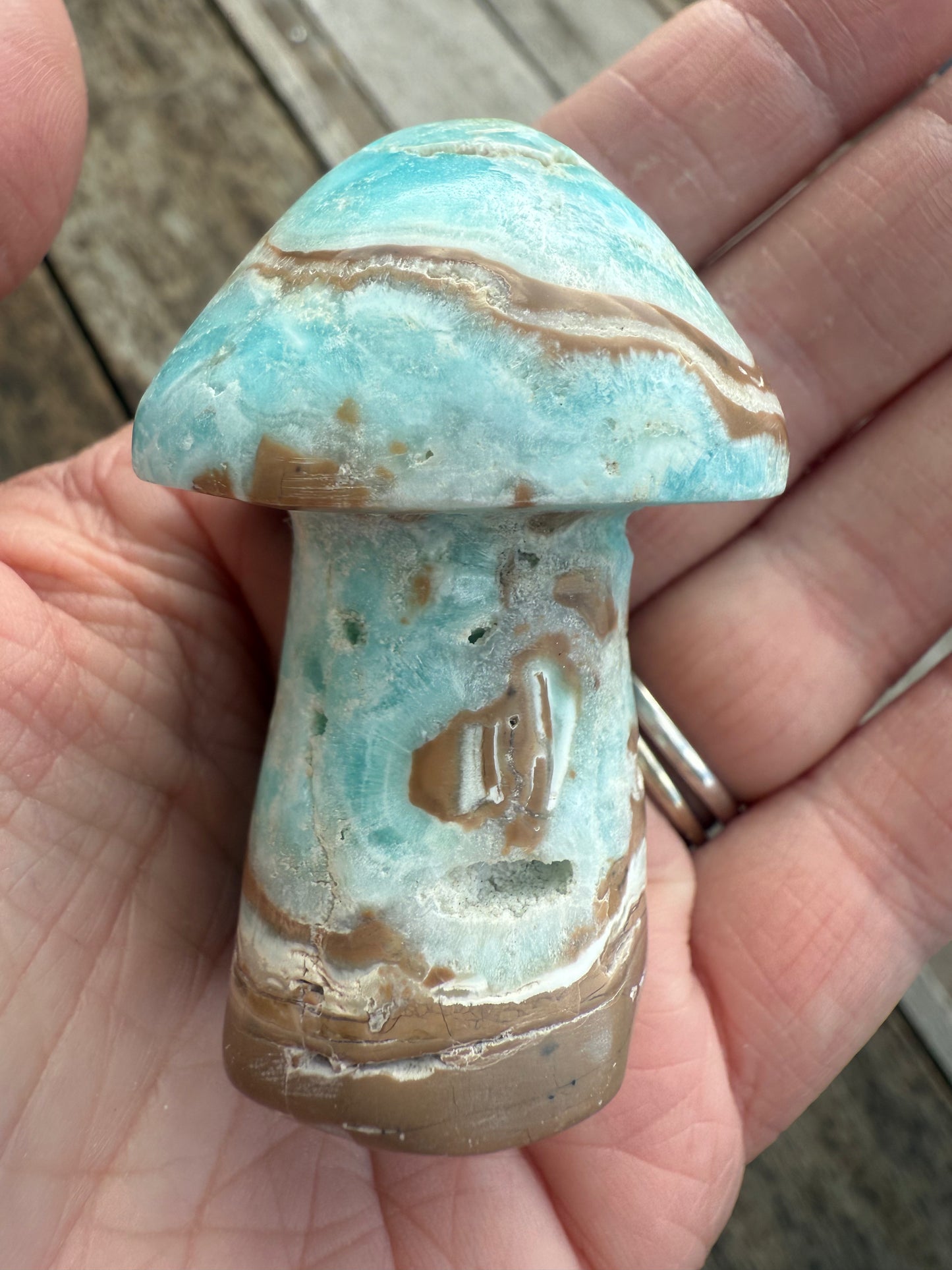 Caribbean Calcite Mushroom