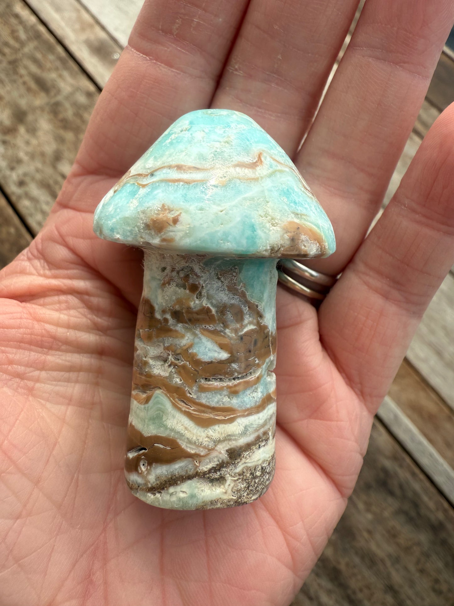 Caribbean Calcite Mushroom