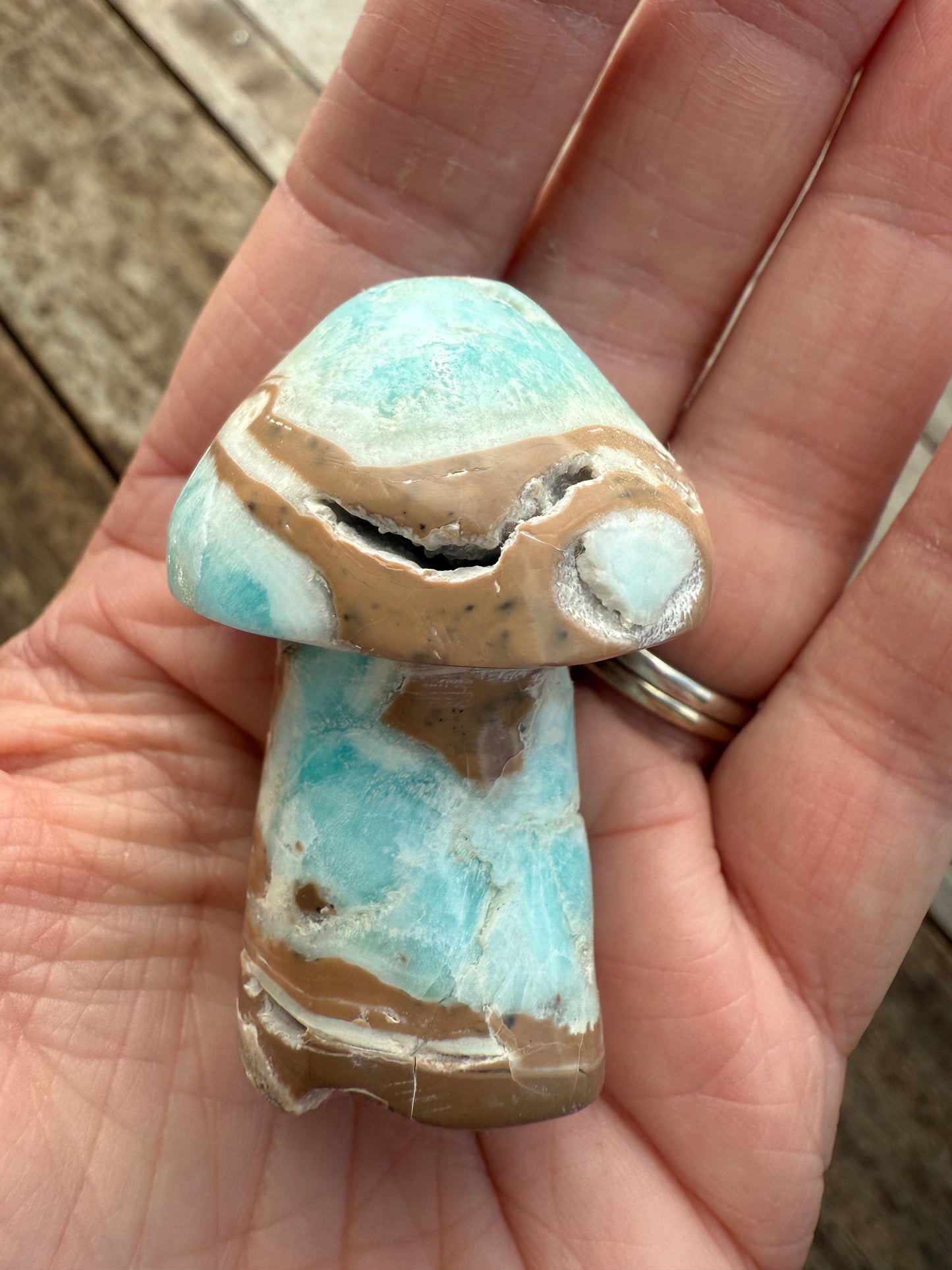 Caribbean Calcite Mushroom