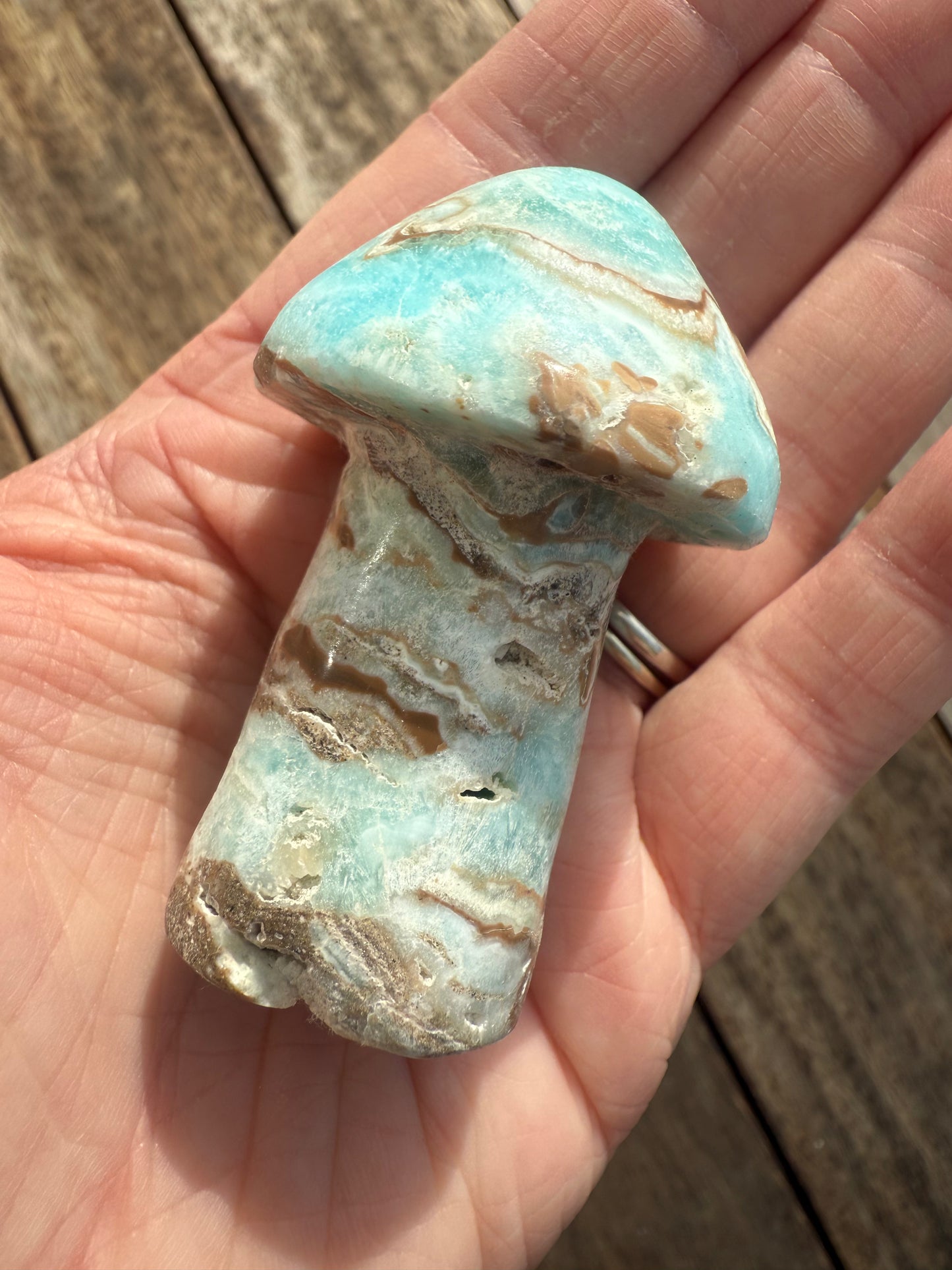 Caribbean Calcite Mushroom