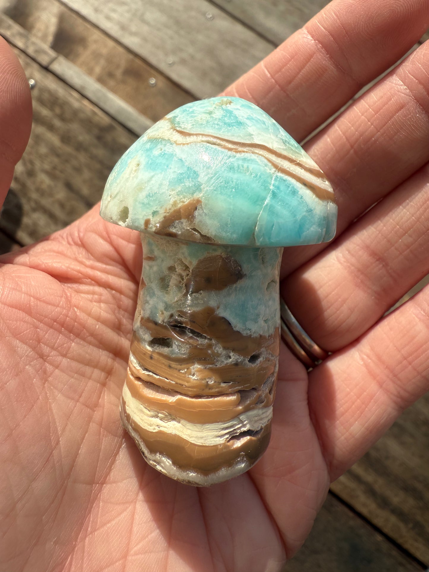 Caribbean Calcite Mushroom