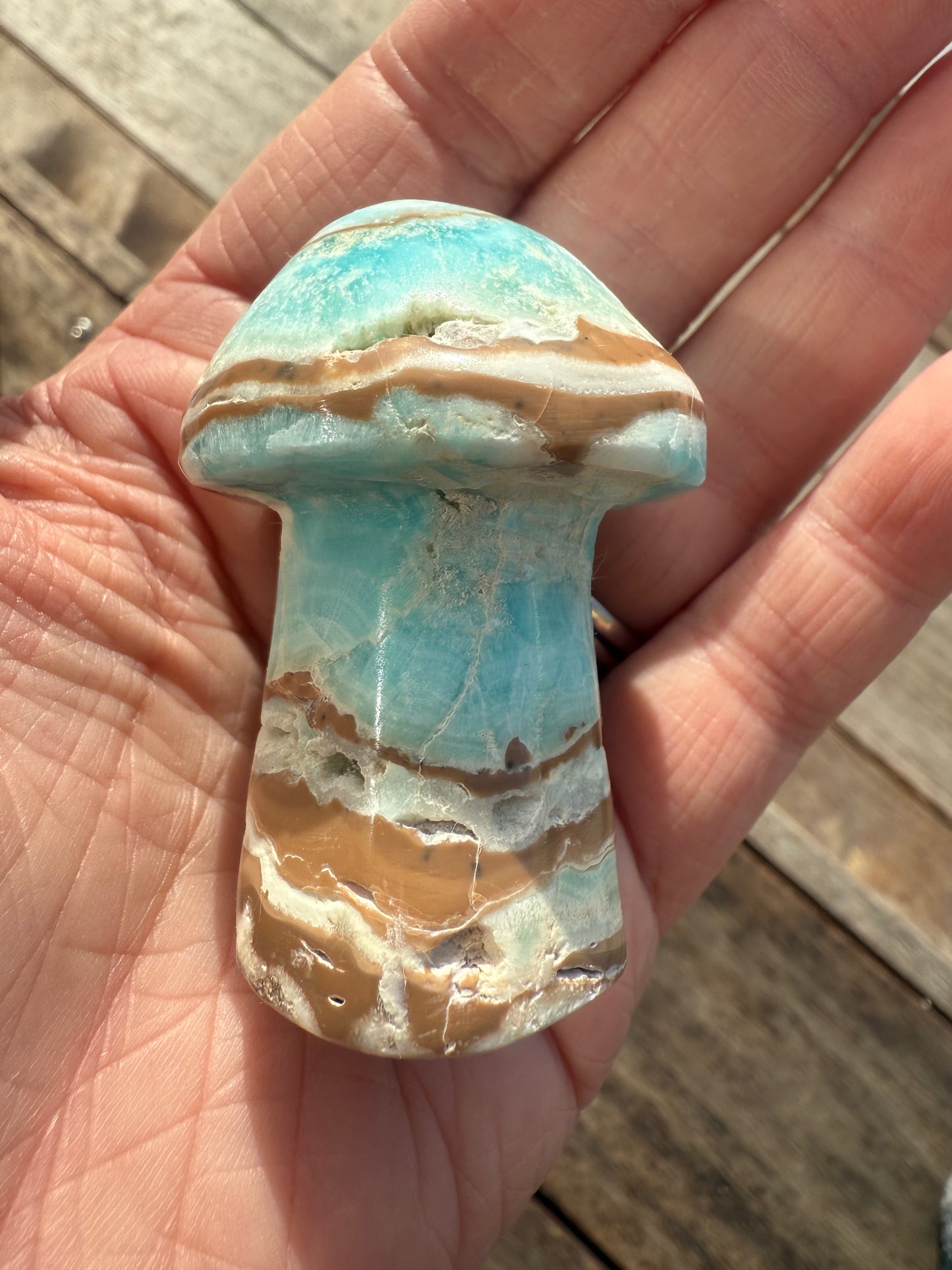 Caribbean Calcite Mushroom