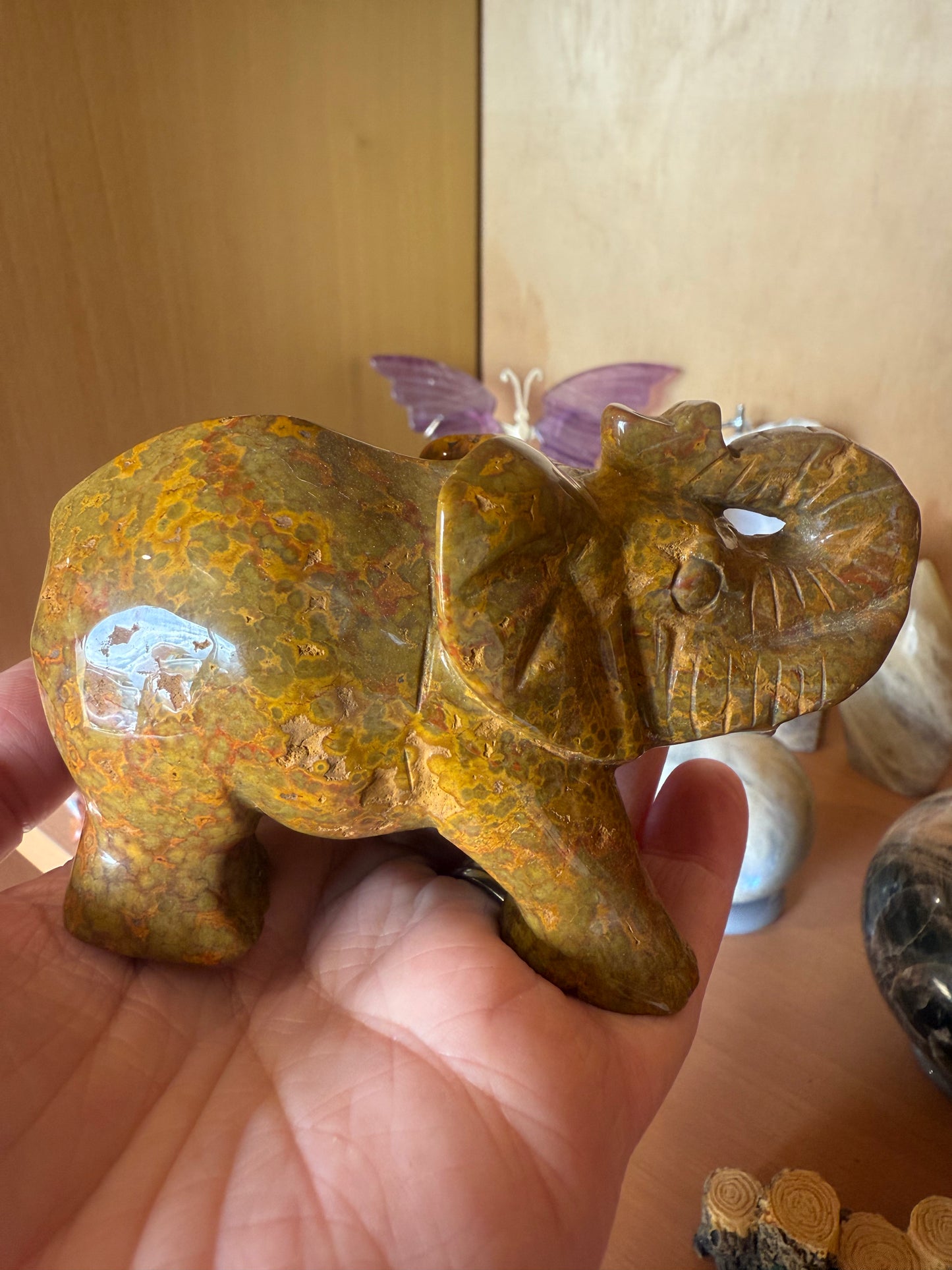 Orbicular Ocean Jasper Elephant