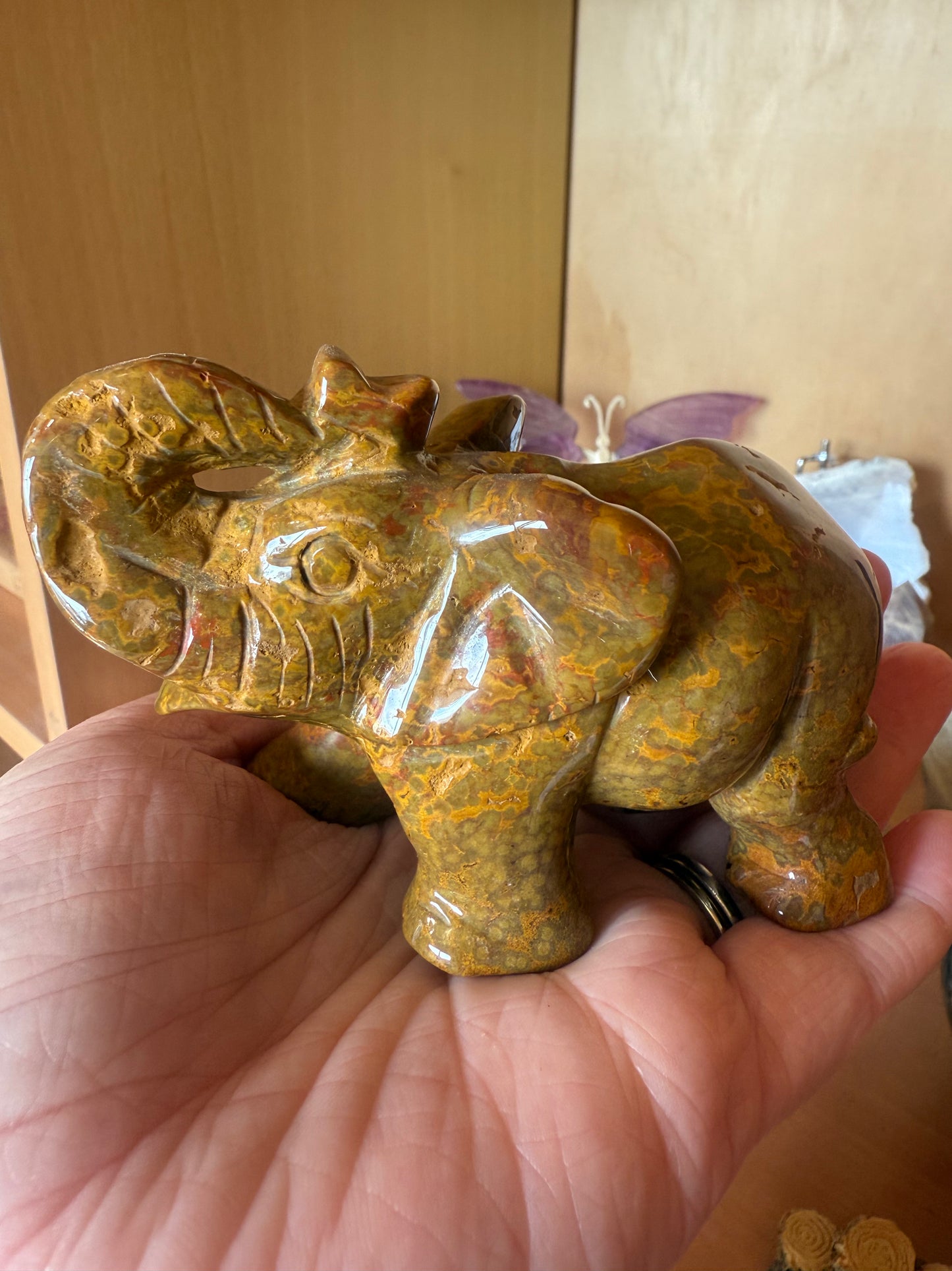 Orbicular Ocean Jasper Elephant