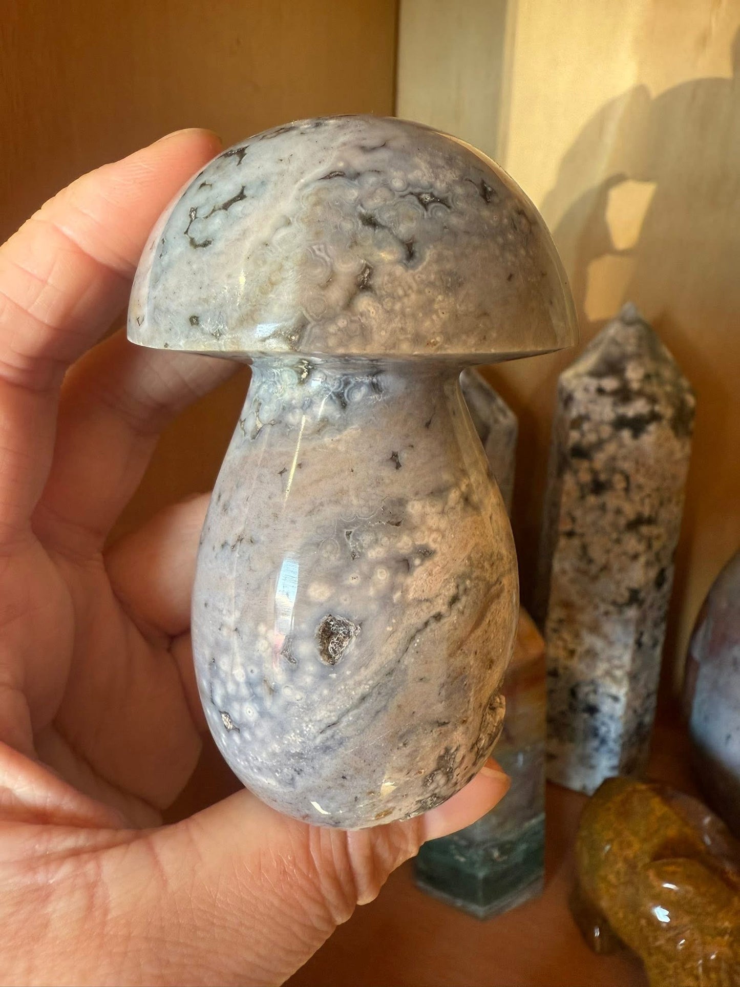 Orbicular Ocean Jasper Mushroom
