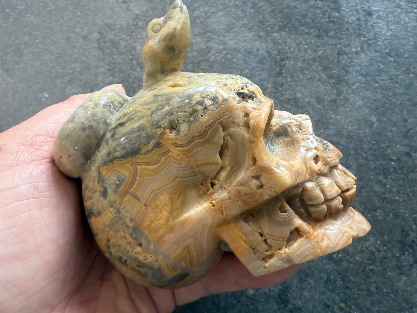 Crazy Lace Agate Skull