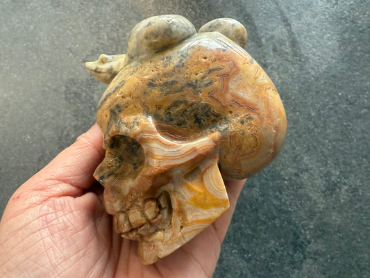 Crazy Lace Agate Skull