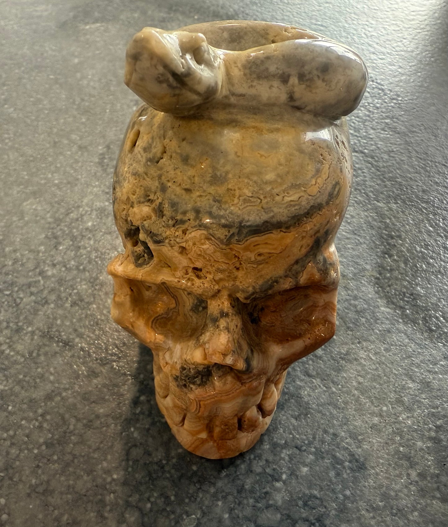 Crazy Lace Agate Skull