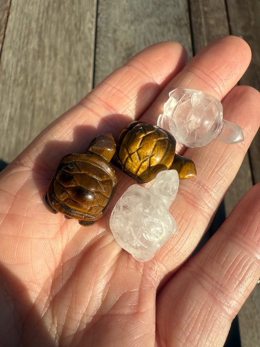 Mini Turtle Carving