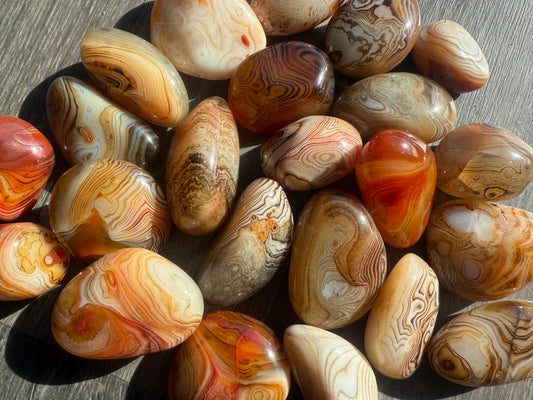 Large Sardonyx Tumbles
