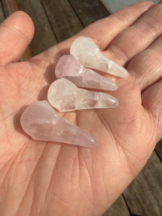 Mini Raven Skulls