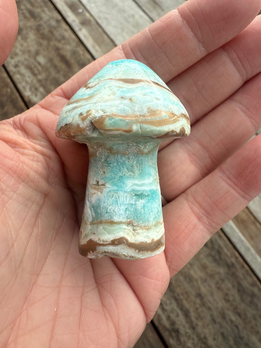 Caribbean Calcite Mushroom