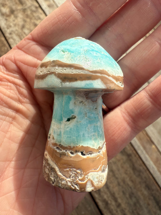 Caribbean Calcite Mushroom