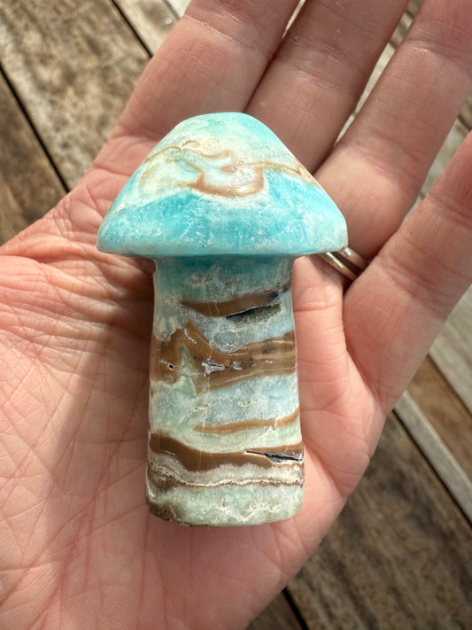 Caribbean Calcite Mushroom