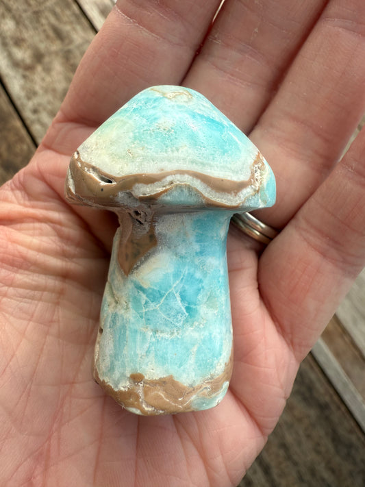 Caribbean Calcite Mushroom