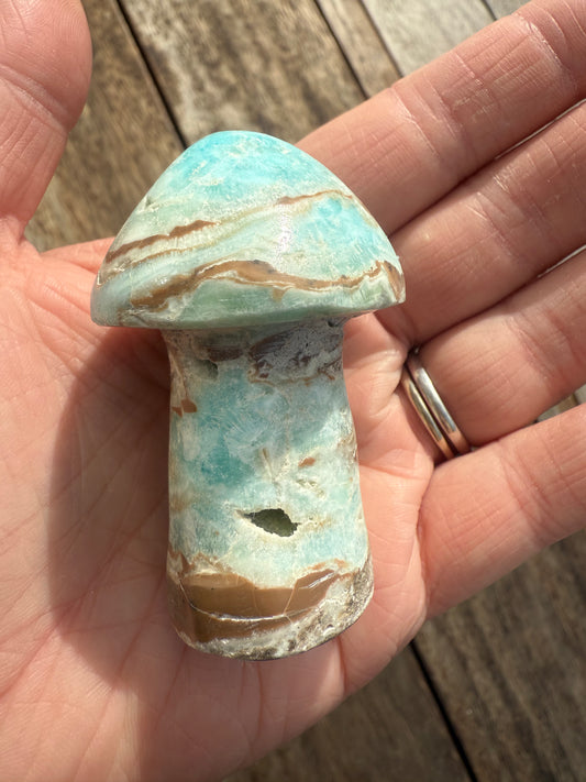 Caribbean Calcite Mushroom