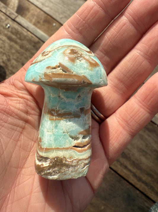 Caribbean Calcite Mushroom