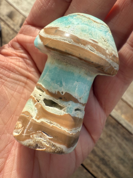 Caribbean Calcite Mushroom