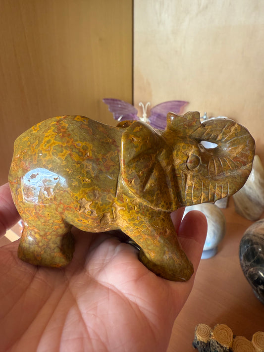 Orbicular Ocean Jasper Elephant