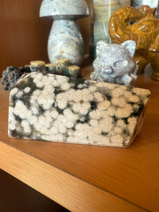 Orbicular Ocean Jasper Freeform