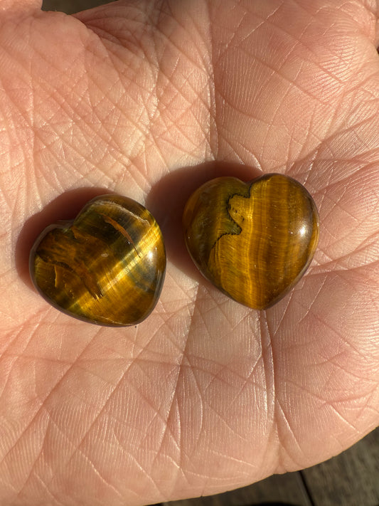 Mini Tigers Eye Hearts